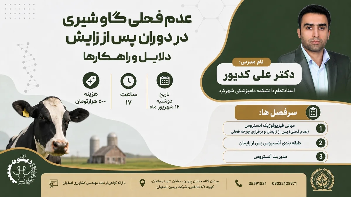 عدم فحلی گاو شیری در دوران پس از زایش، دلایل و راهکارها