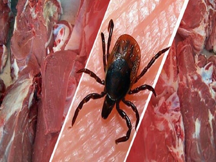 توصیههای پیشگیرانه درباره بیماری تب کریمه کنگو